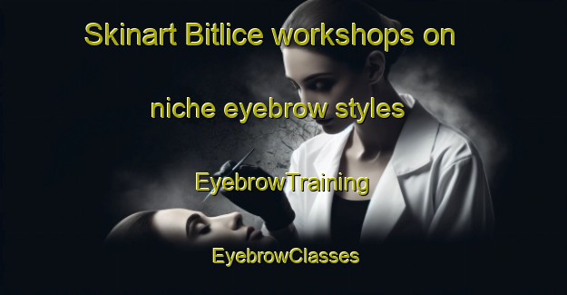 Skinart Bitlice workshops on niche eyebrow styles | EyebrowTraining | EyebrowClasses | SkinartTraining-Turkey