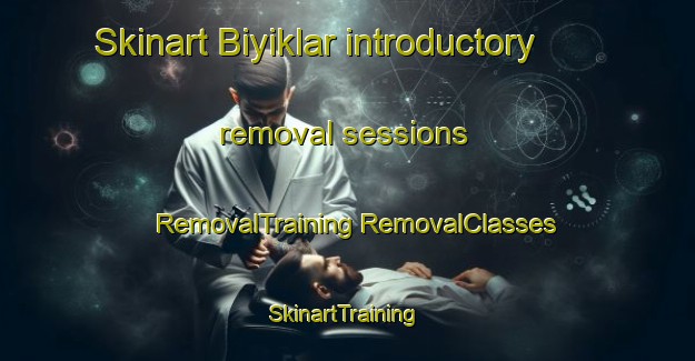 Skinart Biyiklar introductory removal sessions | #RemovalTraining #RemovalClasses #SkinartTraining-Turkey