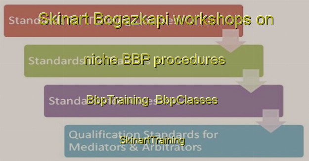 Skinart Bogazkapi workshops on niche BBP procedures | BbpTraining | BbpClasses | SkinartTraining-Turkey