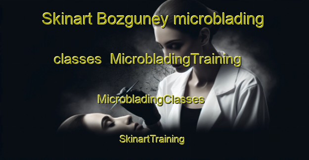 Skinart Bozguney microblading classes | MicrobladingTraining | MicrobladingClasses | SkinartTraining-Turkey