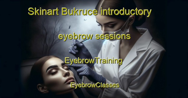 Skinart Bukruce introductory eyebrow sessions | EyebrowTraining | EyebrowClasses | SkinartTraining-Turkey