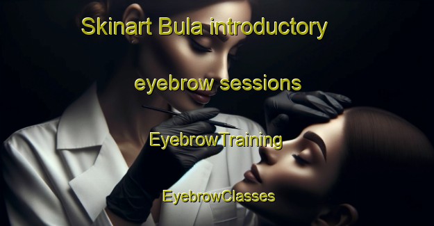 Skinart Bula introductory eyebrow sessions | EyebrowTraining | EyebrowClasses | SkinartTraining-Turkey