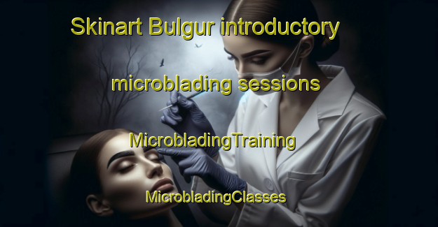 Skinart Bulgur introductory microblading sessions | MicrobladingTraining | MicrobladingClasses | SkinartTraining-Turkey