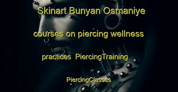 Skinart Bunyan Osmaniye courses on piercing wellness practices | #PiercingTraining #PiercingClasses #SkinartTraining-Turkey