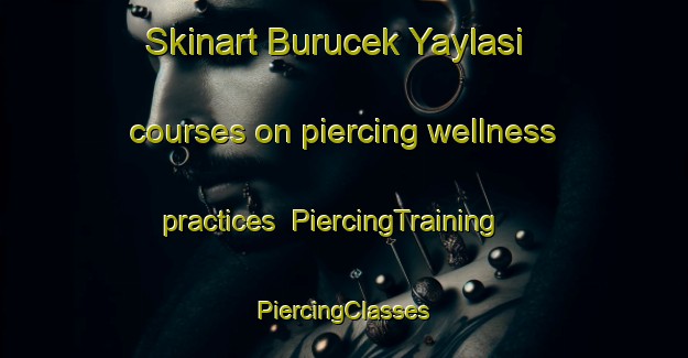 Skinart Burucek Yaylasi courses on piercing wellness practices | #PiercingTraining #PiercingClasses #SkinartTraining-Turkey