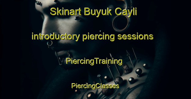 Skinart Buyuk Cayli introductory piercing sessions | #PiercingTraining #PiercingClasses #SkinartTraining-Turkey