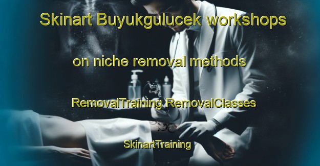 Skinart Buyukgulucek workshops on niche removal methods | #RemovalTraining #RemovalClasses #SkinartTraining-Turkey