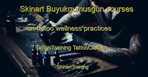 Skinart Buyukgumusgun courses on tattoo wellness practices | #TattooTraining #TattooClasses #SkinartTraining-Turkey