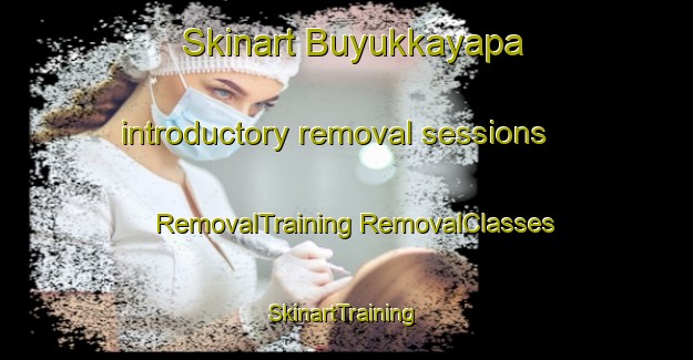 Skinart Buyukkayapa introductory removal sessions | #RemovalTraining #RemovalClasses #SkinartTraining-Turkey