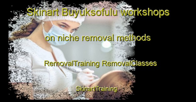 Skinart Buyuksofulu workshops on niche removal methods | #RemovalTraining #RemovalClasses #SkinartTraining-Turkey