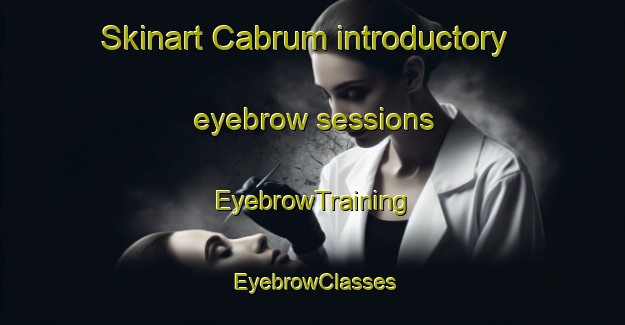 Skinart Cabrum introductory eyebrow sessions | EyebrowTraining | EyebrowClasses | SkinartTraining-Turkey