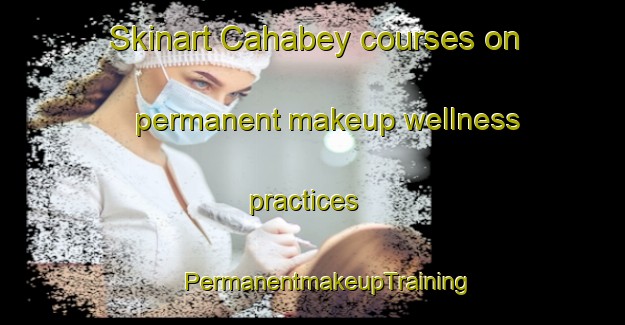 Skinart Cahabey courses on permanent makeup wellness practices | #PermanentmakeupTraining #PermanentmakeupClasses #SkinartTraining-Turkey