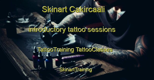 Skinart Cakircaali introductory tattoo sessions | #TattooTraining #TattooClasses #SkinartTraining-Turkey