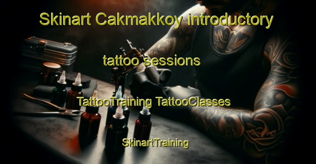 Skinart Cakmakkoy introductory tattoo sessions | #TattooTraining #TattooClasses #SkinartTraining-Turkey