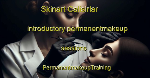 Skinart Calisirlar introductory permanentmakeup sessions | PermanentmakeupTraining | PermanentmakeupClasses | SkinartTraining-Turkey