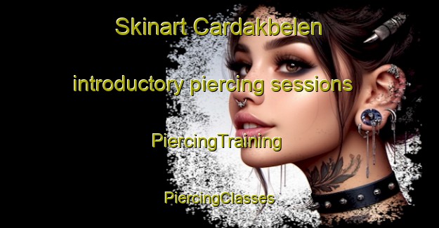 Skinart Cardakbelen introductory piercing sessions | #PiercingTraining #PiercingClasses #SkinartTraining-Turkey