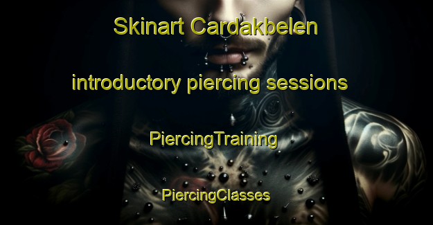 Skinart Cardakbelen introductory piercing sessions | #PiercingTraining #PiercingClasses #SkinartTraining-Turkey