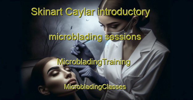 Skinart Caylar introductory microblading sessions | MicrobladingTraining | MicrobladingClasses | SkinartTraining-Turkey