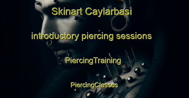 Skinart Caylarbasi introductory piercing sessions | #PiercingTraining #PiercingClasses #SkinartTraining-Turkey