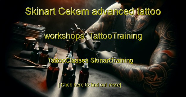 Skinart Cekem advanced tattoo workshops | #TattooTraining #TattooClasses #SkinartTraining-Turkey