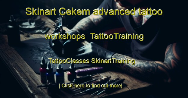 Skinart Cekem advanced tattoo workshops | #TattooTraining #TattooClasses #SkinartTraining-Turkey