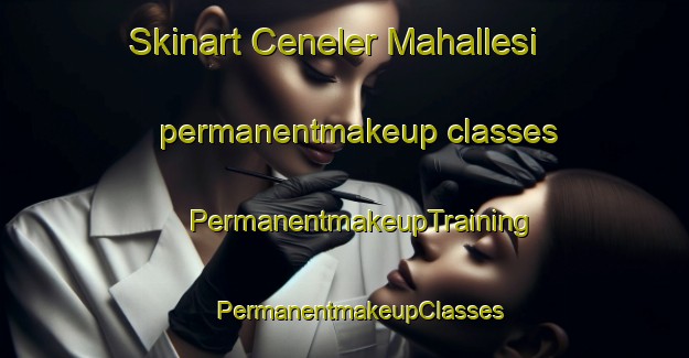 Skinart Ceneler Mahallesi permanentmakeup classes | #PermanentmakeupTraining #PermanentmakeupClasses #SkinartTraining-Turkey