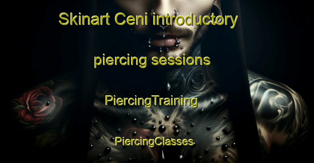 Skinart Ceni introductory piercing sessions | PiercingTraining | PiercingClasses | SkinartTraining-Turkey