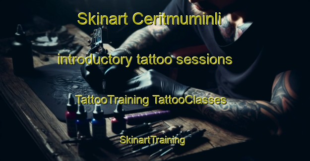 Skinart Ceritmuminli introductory tattoo sessions | #TattooTraining #TattooClasses #SkinartTraining-Turkey