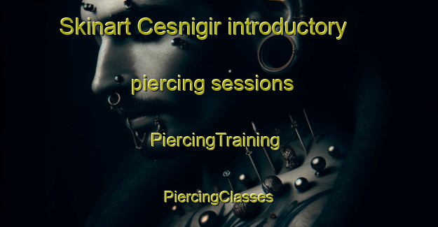 Skinart Cesnigir introductory piercing sessions | #PiercingTraining #PiercingClasses #SkinartTraining-Turkey