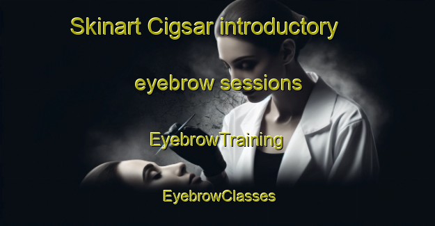 Skinart Cigsar introductory eyebrow sessions | EyebrowTraining | EyebrowClasses | SkinartTraining-Turkey