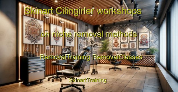 Skinart Cilingirler workshops on niche removal methods | #RemovalTraining #RemovalClasses #SkinartTraining-Turkey