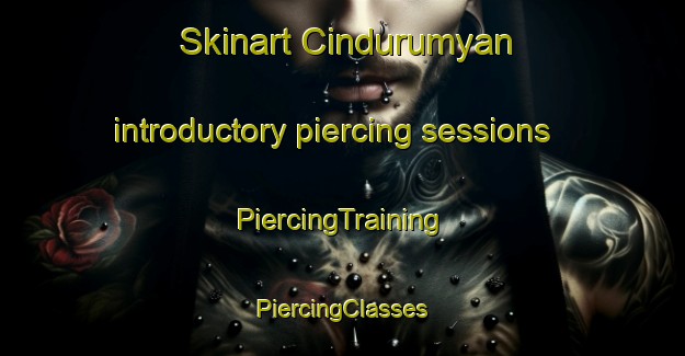 Skinart Cindurumyan introductory piercing sessions | #PiercingTraining #PiercingClasses #SkinartTraining-Turkey