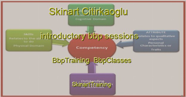 Skinart Citirkaoglu introductory bbp sessions | BbpTraining | BbpClasses | SkinartTraining-Turkey
