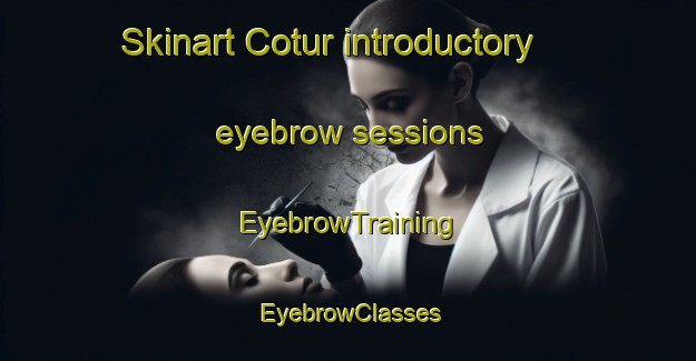 Skinart Cotur introductory eyebrow sessions | EyebrowTraining | EyebrowClasses | SkinartTraining-Turkey