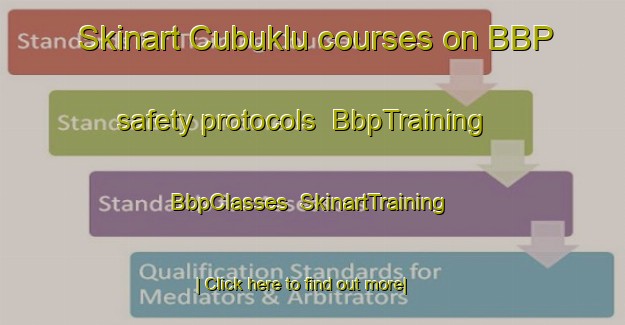 Skinart Cubuklu courses on BBP safety protocols | BbpTraining | BbpClasses | SkinartTraining-Turkey