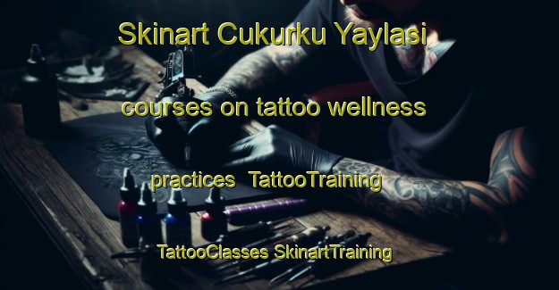 Skinart Cukurku Yaylasi courses on tattoo wellness practices | #TattooTraining #TattooClasses #SkinartTraining-Turkey