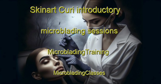 Skinart Curi introductory microblading sessions | MicrobladingTraining | MicrobladingClasses | SkinartTraining-Turkey