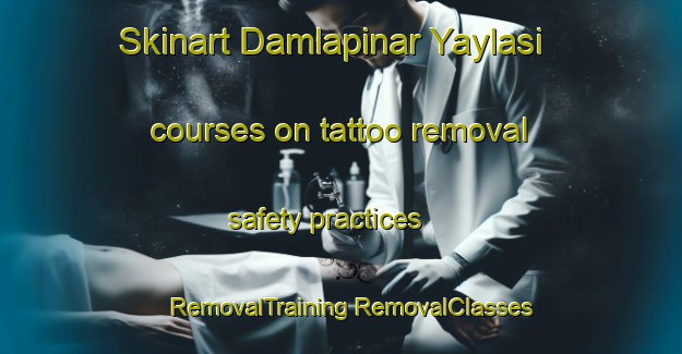 Skinart Damlapinar Yaylasi courses on tattoo removal safety practices | #RemovalTraining #RemovalClasses #SkinartTraining-Turkey