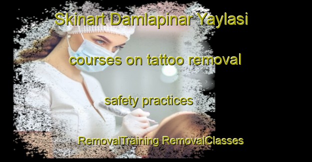 Skinart Damlapinar Yaylasi courses on tattoo removal safety practices | #RemovalTraining #RemovalClasses #SkinartTraining-Turkey