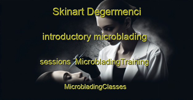 Skinart Degermenci introductory microblading sessions | MicrobladingTraining | MicrobladingClasses | SkinartTraining-Turkey