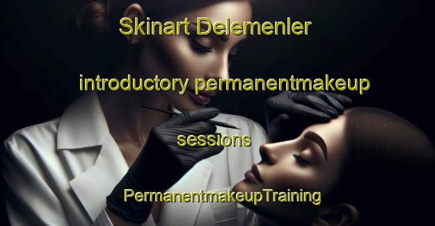 Skinart Delemenler introductory permanentmakeup sessions | PermanentmakeupTraining | PermanentmakeupClasses | SkinartTraining-Turkey