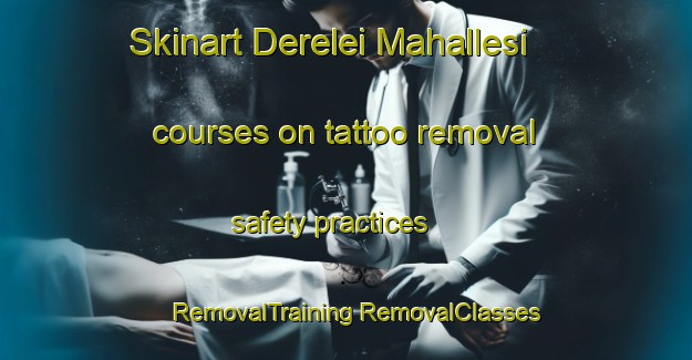 Skinart Derelei Mahallesi courses on tattoo removal safety practices | #RemovalTraining #RemovalClasses #SkinartTraining-Turkey