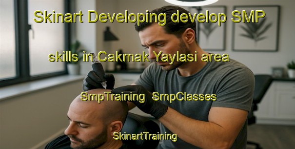 Skinart Developing develop SMP skills in Cakmak Yaylasi area | SmpTraining | SmpClasses | SkinartTraining-Turkey