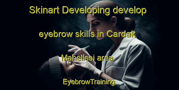 Skinart Developing develop eyebrow skills in Cardak Mahellesi area | EyebrowTraining | EyebrowClasses | SkinartTraining-Turkey