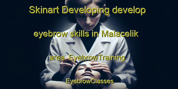 Skinart Developing develop eyebrow skills in Malacelik area | EyebrowTraining | EyebrowClasses | SkinartTraining-Turkey