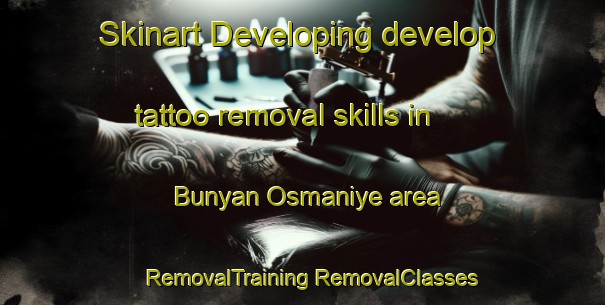 Skinart Developing develop tattoo removal skills in Bunyan Osmaniye area | #RemovalTraining #RemovalClasses #SkinartTraining-Turkey