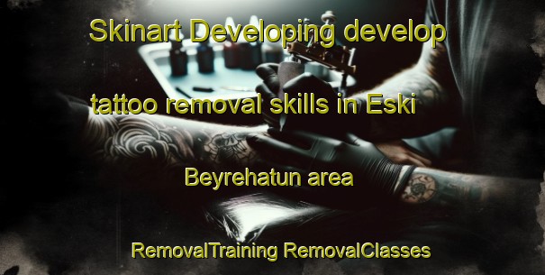 Skinart Developing develop tattoo removal skills in Eski Beyrehatun area | #RemovalTraining #RemovalClasses #SkinartTraining-Turkey