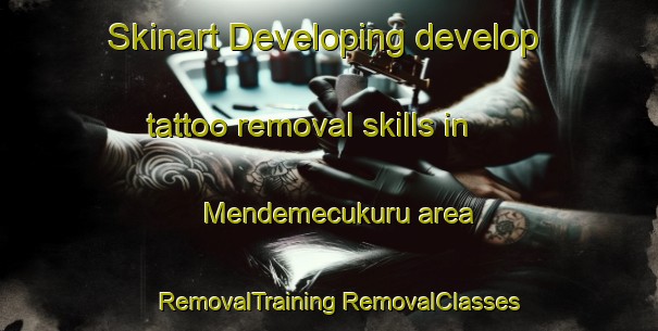 Skinart Developing develop tattoo removal skills in Mendemecukuru area | #RemovalTraining #RemovalClasses #SkinartTraining-Turkey