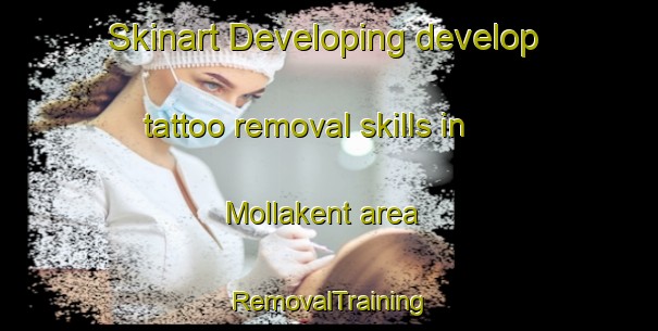 Skinart Developing develop tattoo removal skills in Mollakent area | RemovalTraining | RemovalClasses | SkinartTraining-Turkey