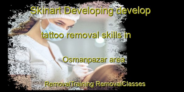 Skinart Developing develop tattoo removal skills in Osmanpazar area | #RemovalTraining #RemovalClasses #SkinartTraining-Turkey